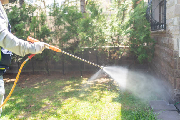 Lawn Pest Control in Delhi, LA